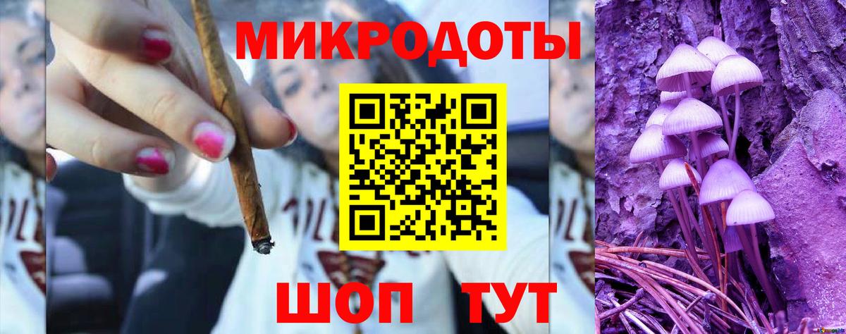 Псилоцибиновые грибы мицелий Ачинск
