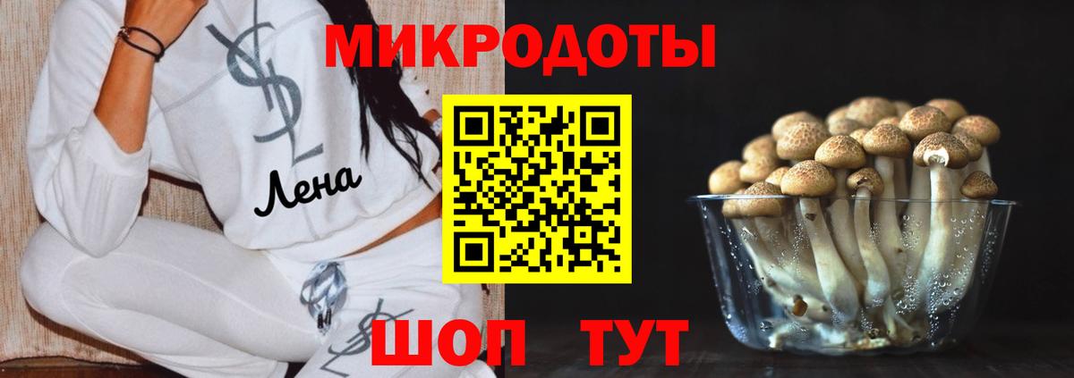 как найти закладки  Псилоцибиновые грибы мицелий  Вход с VPN  Ачинск 